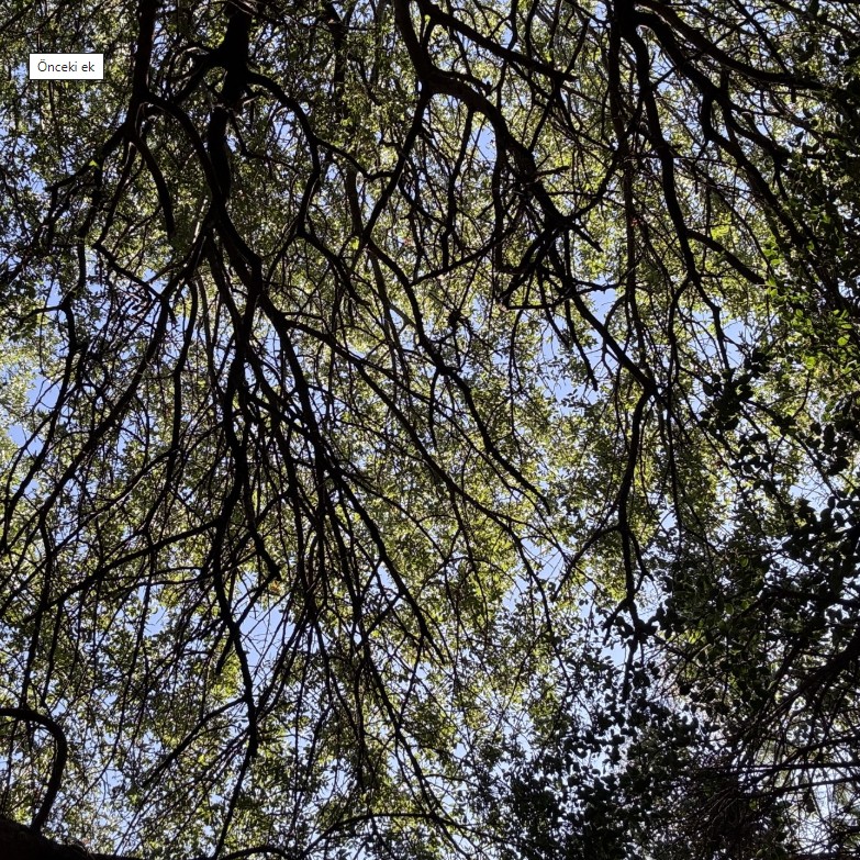 Feyza Öztürk-Yanılsama 220925.jpg